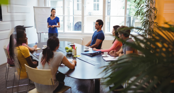 Professional Group Coaching