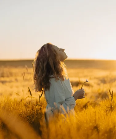 Happiness and Wisdom Series